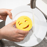 spugna double face smile small.jpg