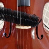 VIOLINO SITO.jpg