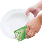spugna verde che lava piatto.jpg