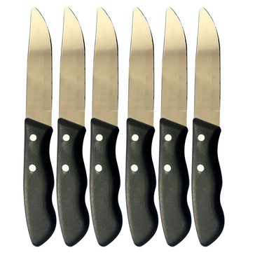 Set 6 coltelli professionali