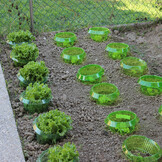 TANTI PROTEGGI PIANTE 1000X1000.jpg