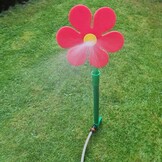 fiore con acqua.jpeg