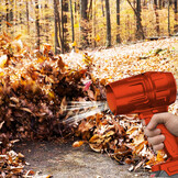 soffiatore rosso con foglie1000.jpg
