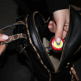 miniled con borsa1000.jpg
