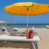 borsa in spiaggia1000.jpg